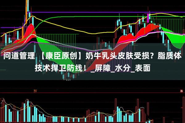 问道管理 【康臣原创】奶牛乳头皮肤受损？脂质体技术捍卫防线！_屏障_水分_表面