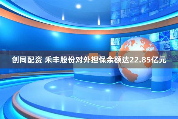 创同配资 禾丰股份对外担保余额达22.85亿元