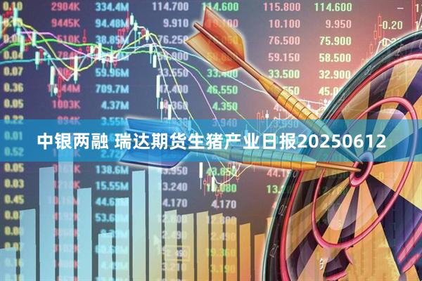 中银两融 瑞达期货生猪产业日报20250612