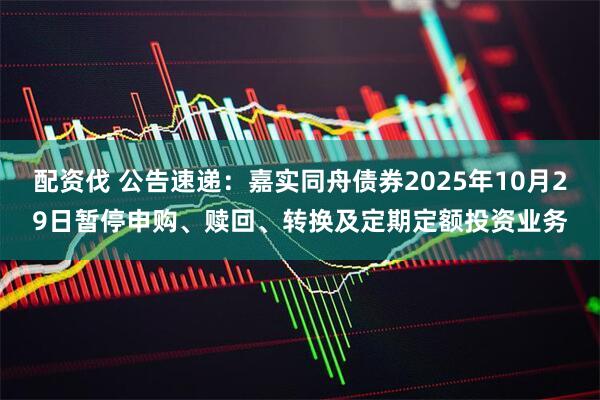 配资伐 公告速递：嘉实同舟债券2025年10月29日暂停申购、赎回、转换及定期定额投资业务